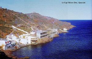 CAP FALCON  (22)